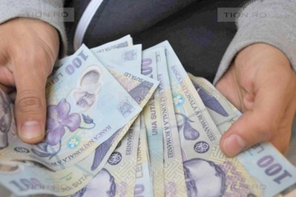Statul, prejudiciat de o firmă din Constanţa